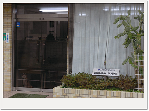 関町田中保険代理店